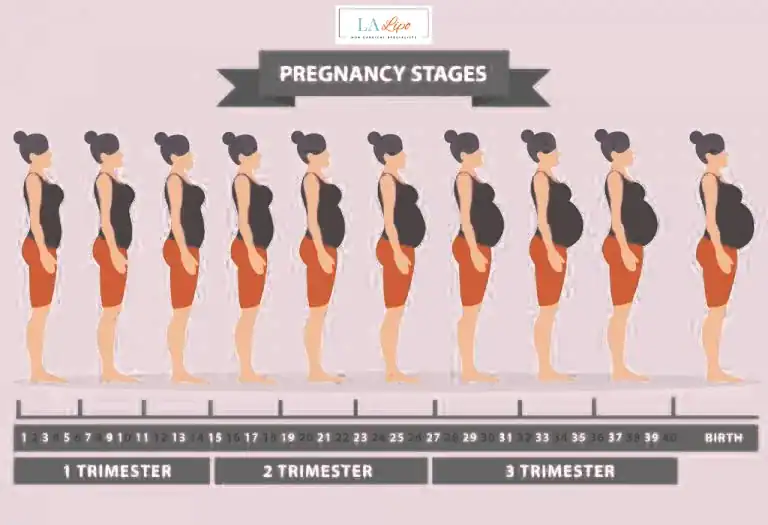First Trimester (Weeks 1–12): Early Changes You Might Not Notice Uttoxeter